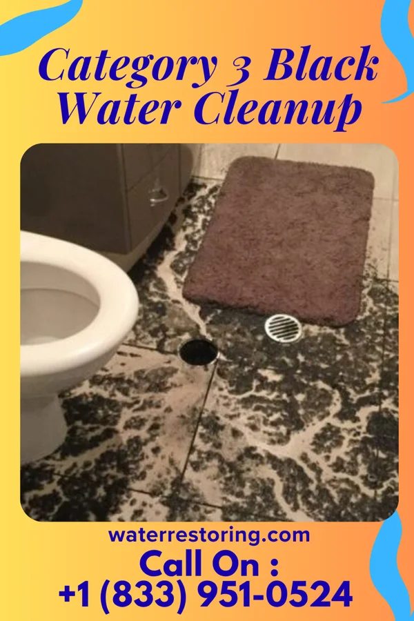 Category 3 Black Water Cleanup in Newark, NY