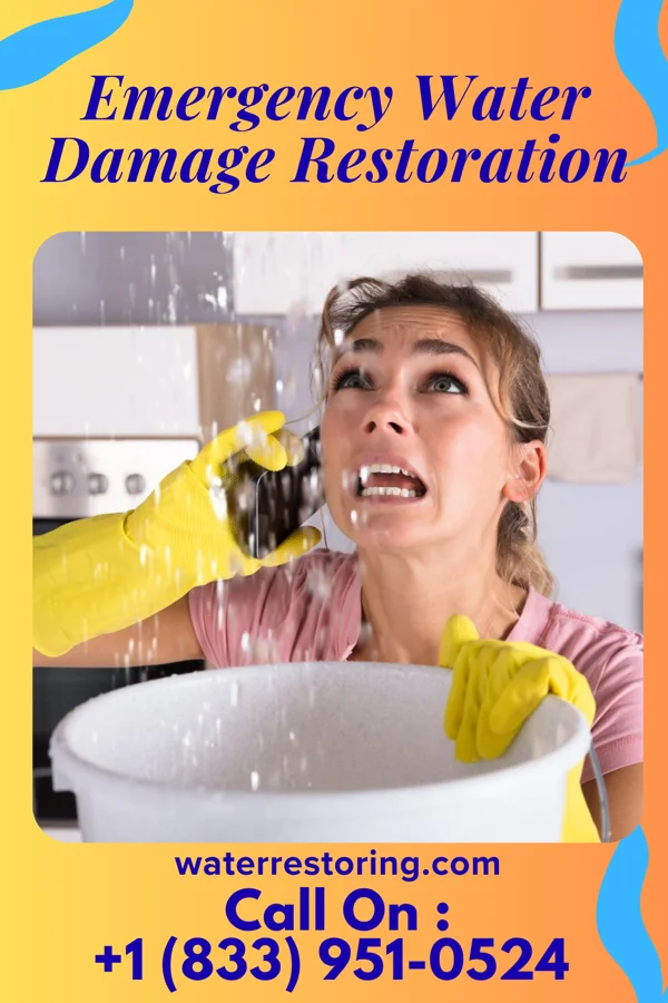 Emergency Water Damage Restoration in Newark, NY