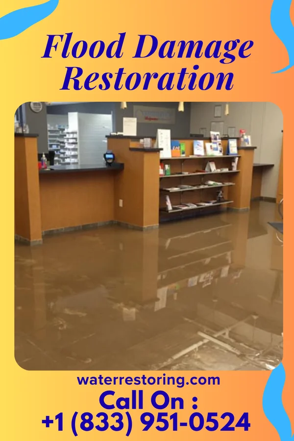 Flood Damage Restoration in Newark, NY