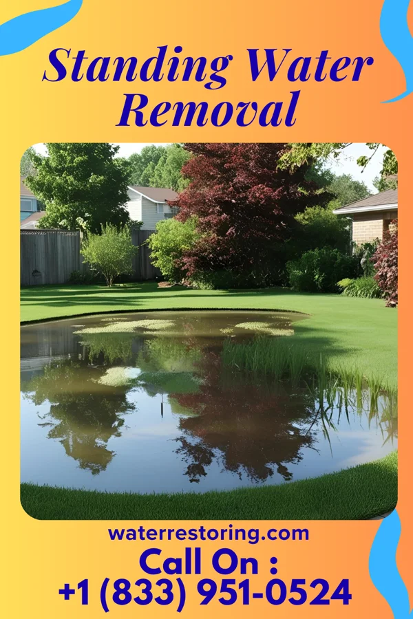 Standing Water Removal in Newark, NY
